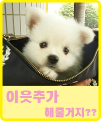 전라도막횟집 이미지