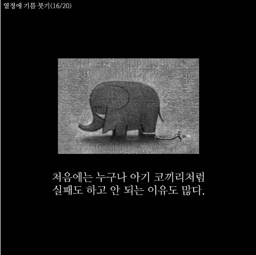 열정에기름붓기 이미지