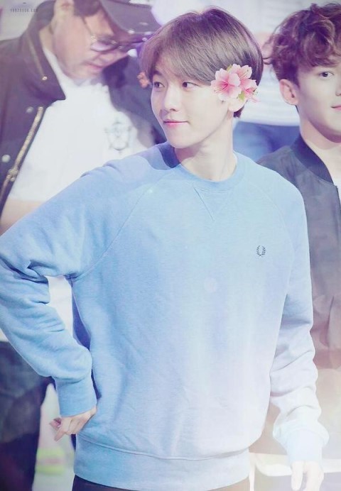 꽃소년 이미지