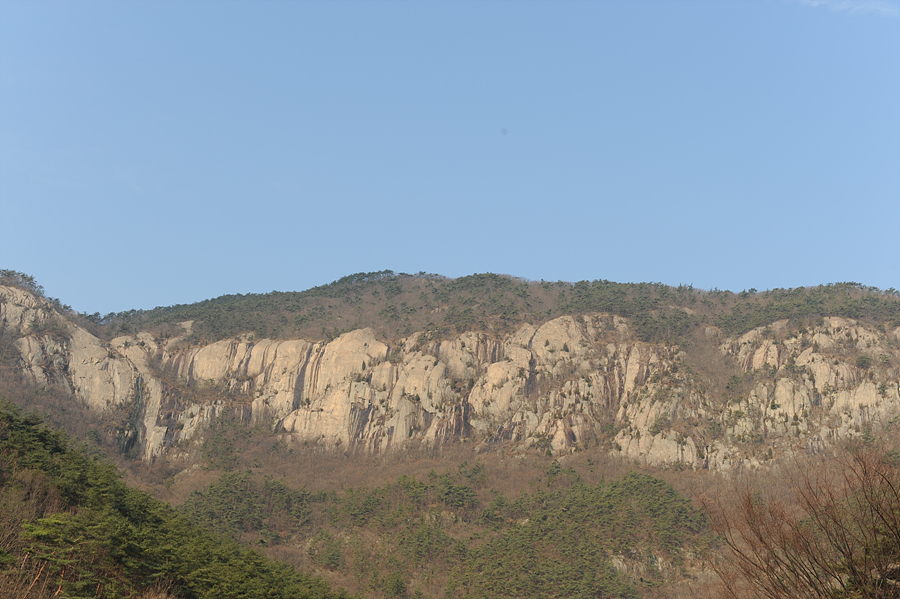 대성실상사 이미지
