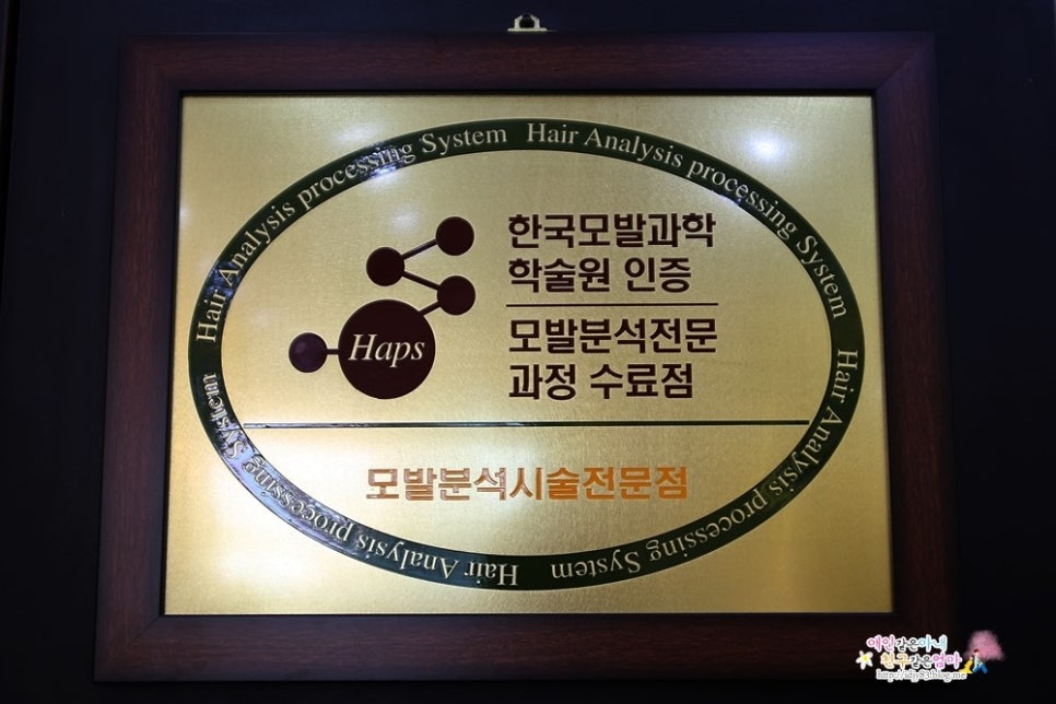 한선화 프로헤어 이미지