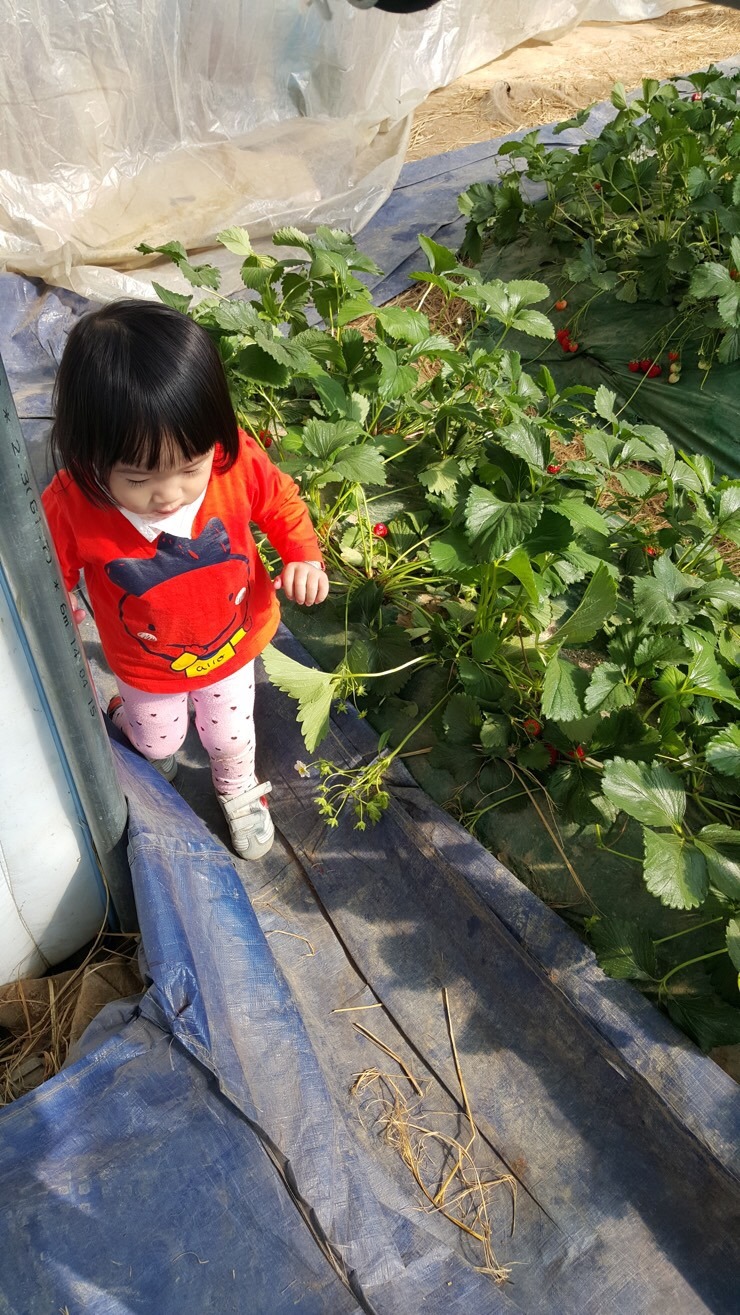 꽃뫼농원 이미지
