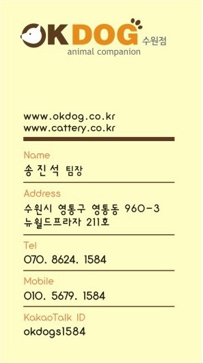 낭만고냥이 이미지