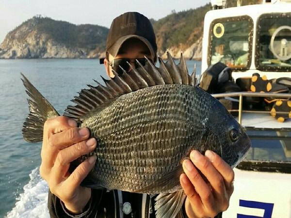 황 이미지