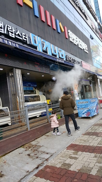 대게나라 이미지
