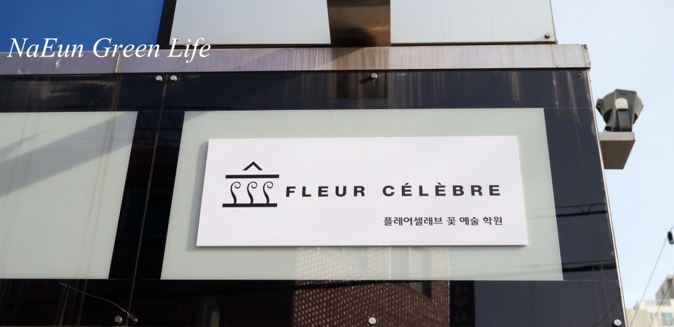 플레어셀레브 이미지