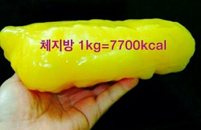 칼로리얼 이미지