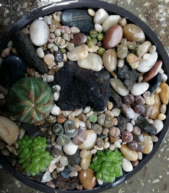 충주화원 이미지