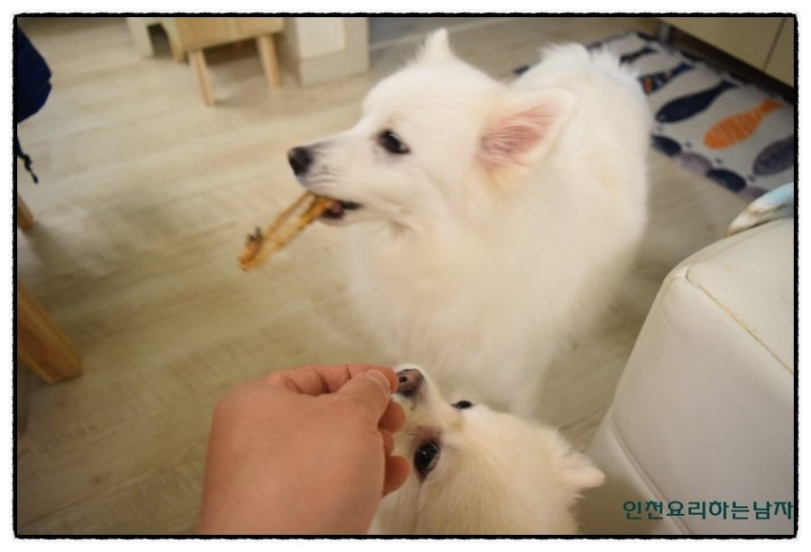 건어물 삼촌 이미지