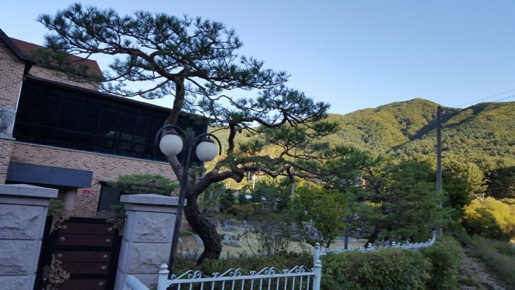 청운조경 이미지