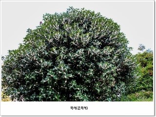 계화당 이미지