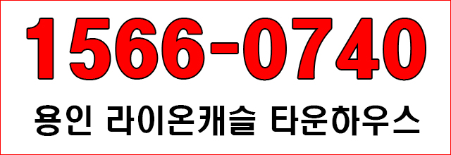 라이온캐슬 이미지