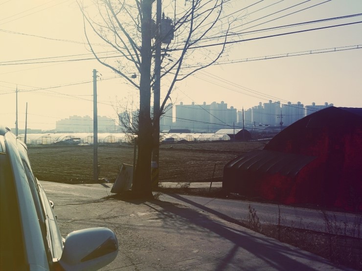 천일상사 이미지