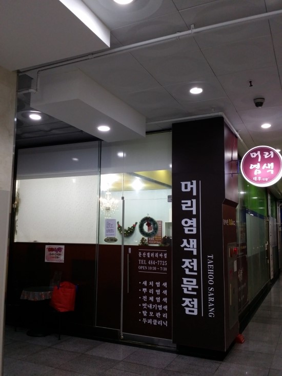 태후사랑머리염색두피 이미지