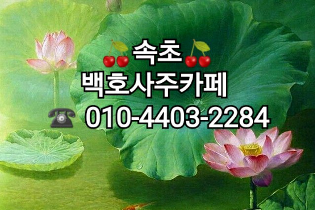 백호사주카페 이미지