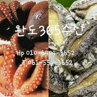 완도수산365 이미지