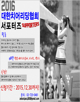 대한치어리딩협회 이미지