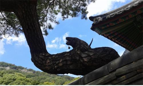 (사)한국시각장애인연합회 이미지