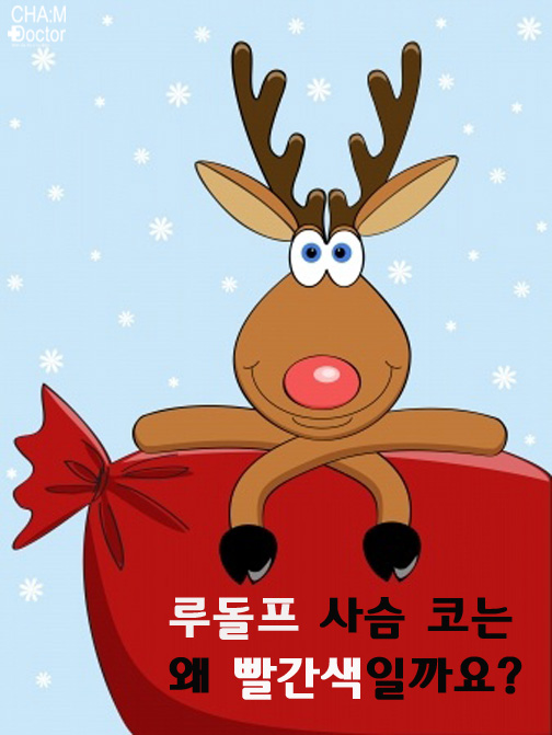 빨간코 이미지