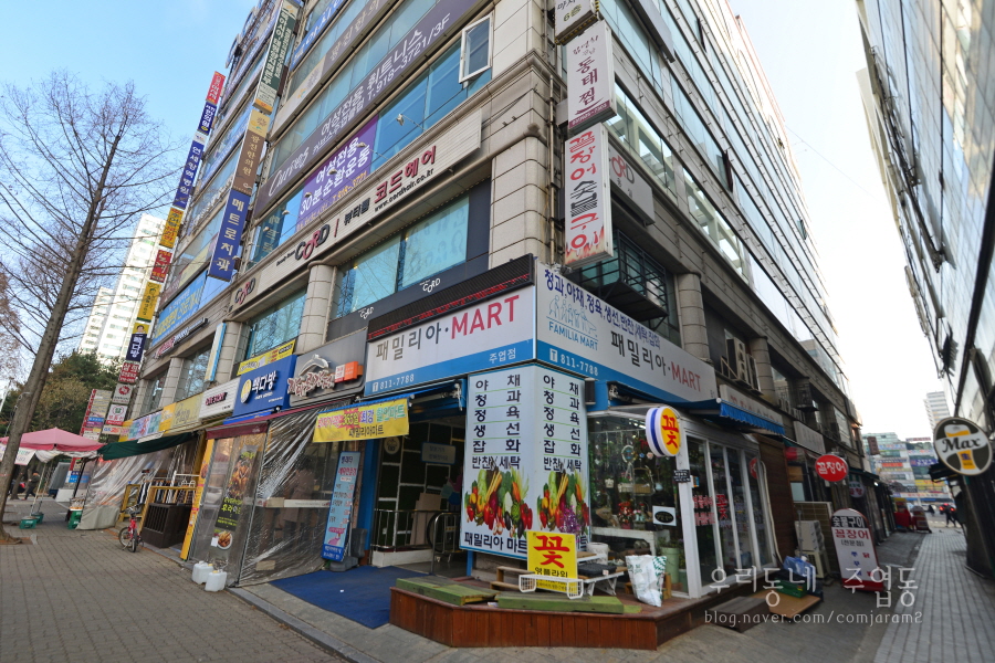 일송화원 이미지