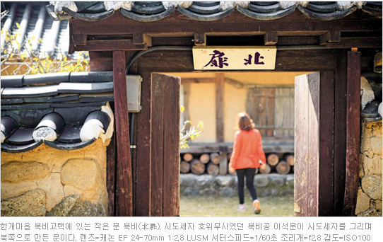 금성석물 이미지