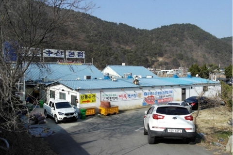 장룡 이미지
