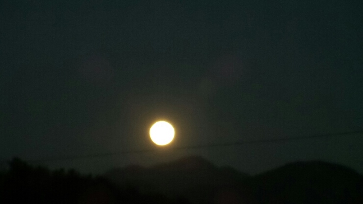 롸잇나우 이미지