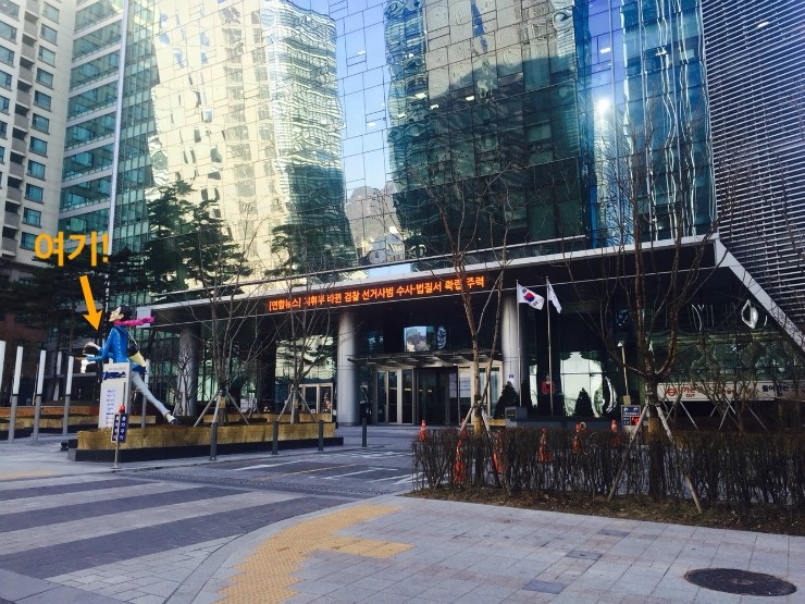 베이징코야주 이미지