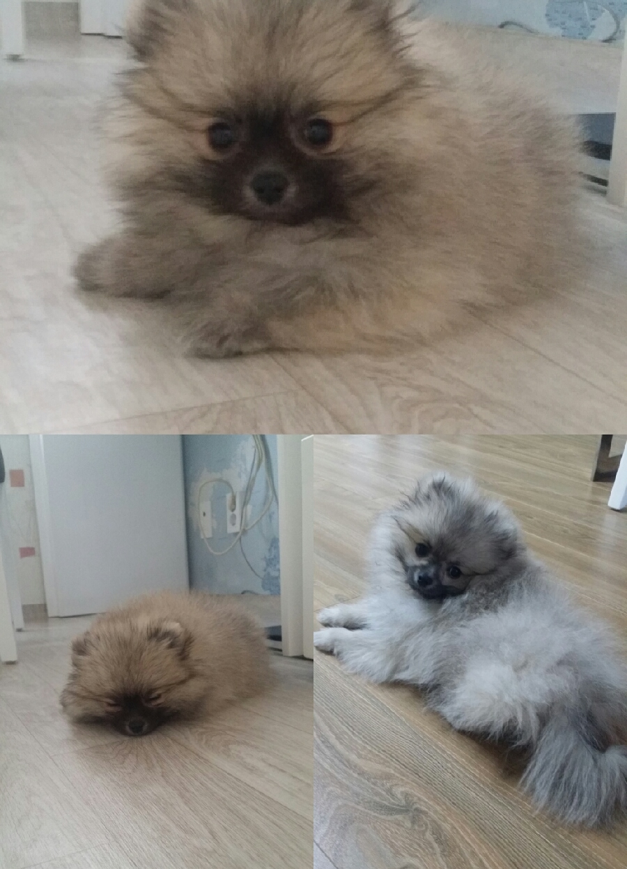 띵동 이미지