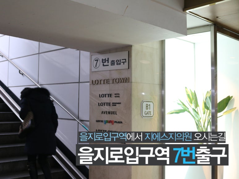 지에스지 이미지