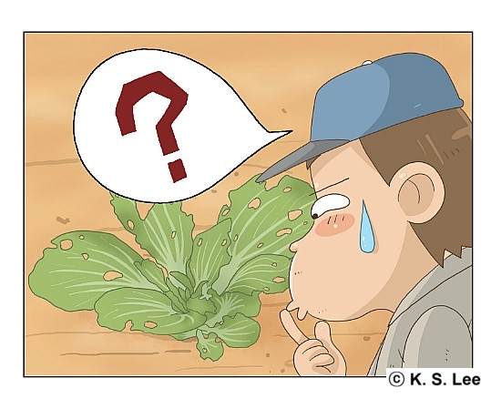 해충박사 이미지