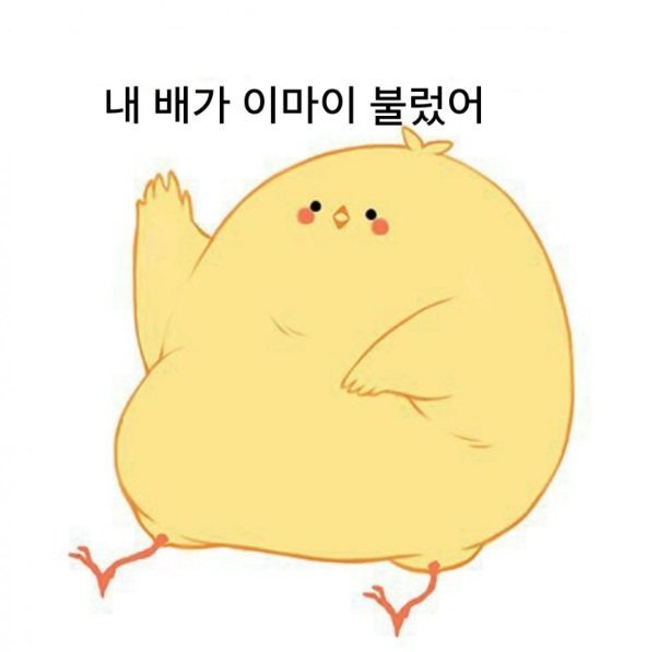 드래곤책방 이미지
