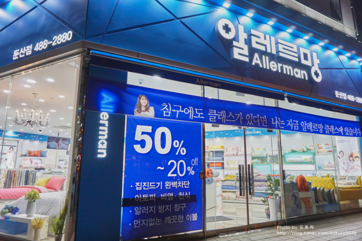 알레르망대전 이미지