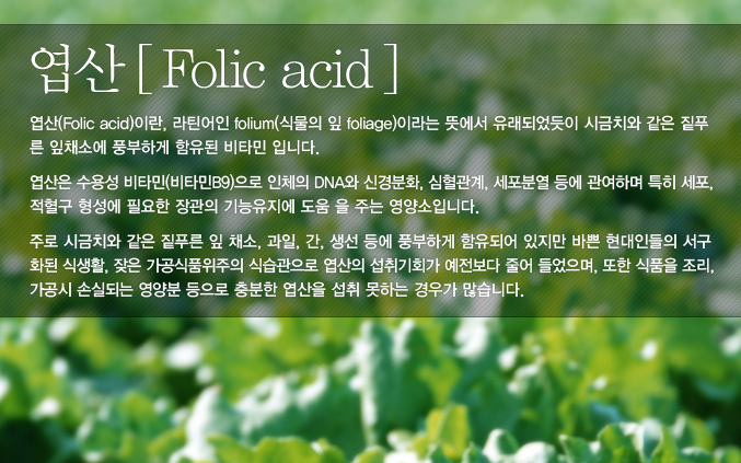더지엠 이미지
