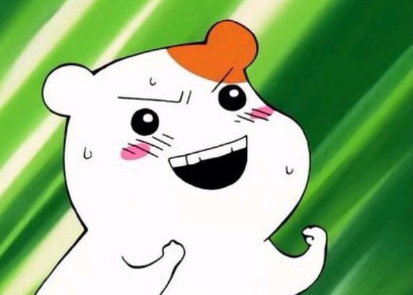 베베하우스 이미지