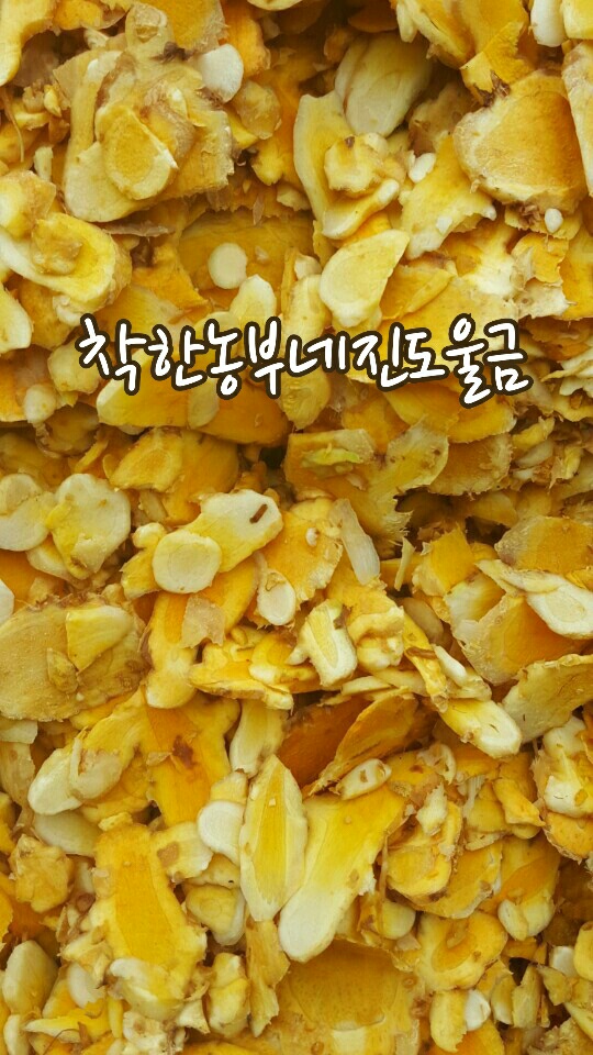 진도울금 이미지