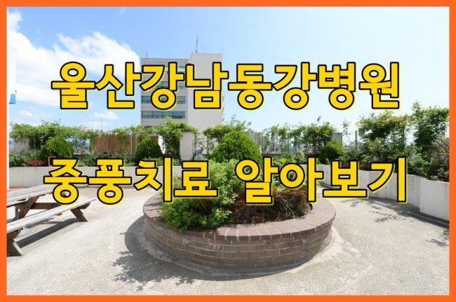 강남동강병원 이미지