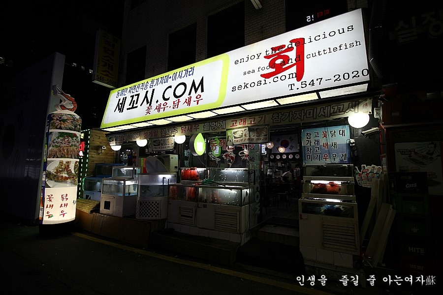 세꼬시닷컴 이미지