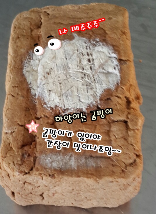 으뜸농산 이미지