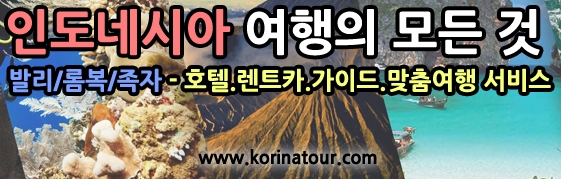 코리나여행사 이미지