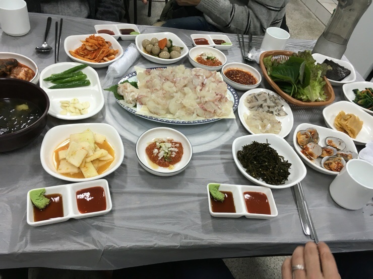 금빛선어 이미지
