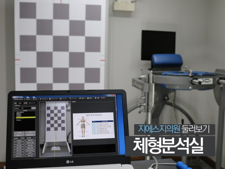 지에스지 이미지
