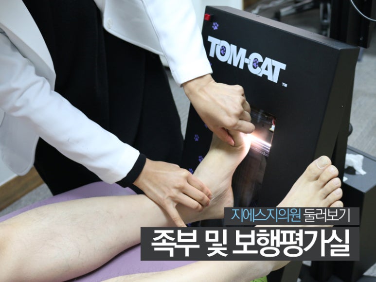 지에스지 이미지
