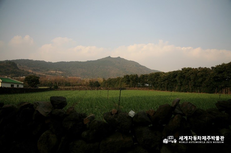 안덕자동차마을 이미지