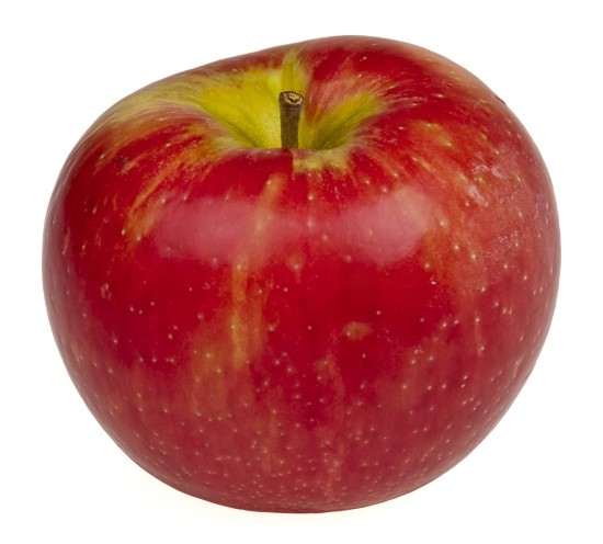 라.FRUTA 이미지