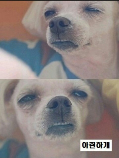 할머니청국장 이미지