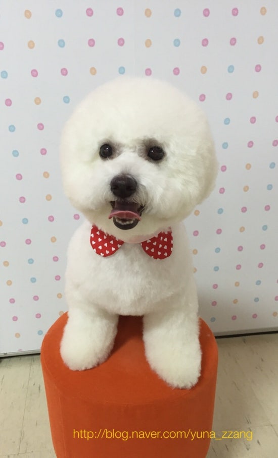 해피 이미지