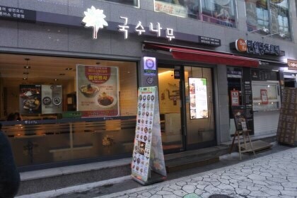 국수나무 이미지