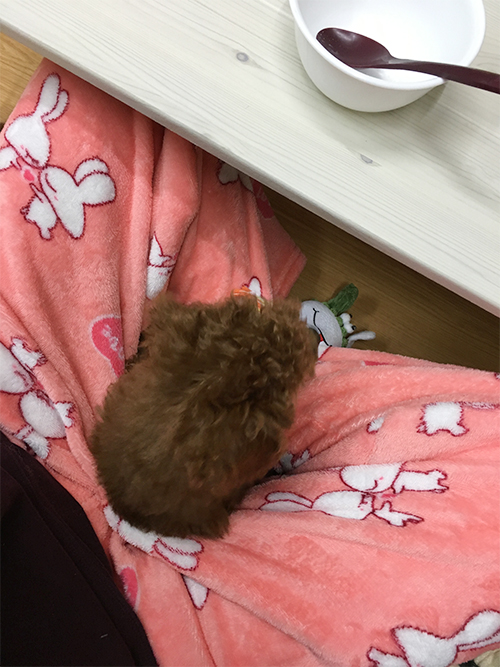 파리바게트상계 이미지