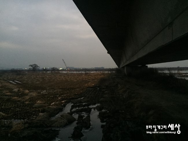 대교미트 이미지